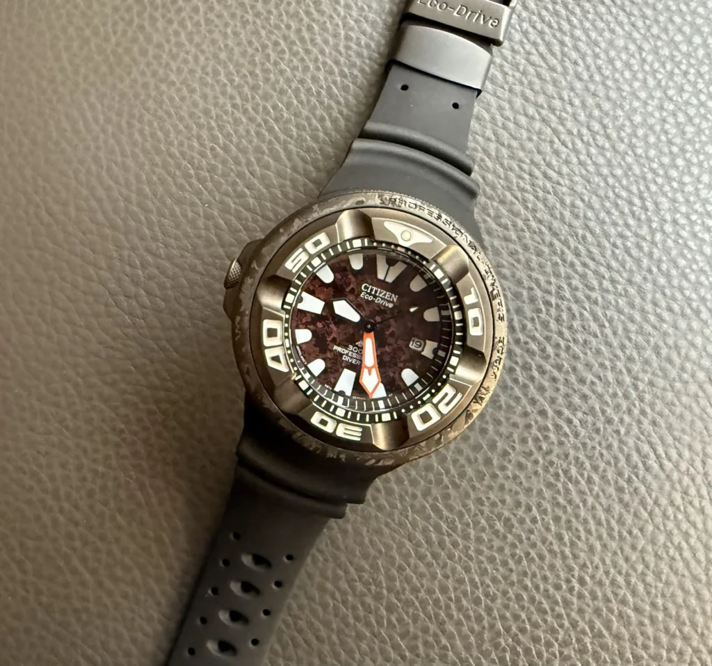 Citizen Watch