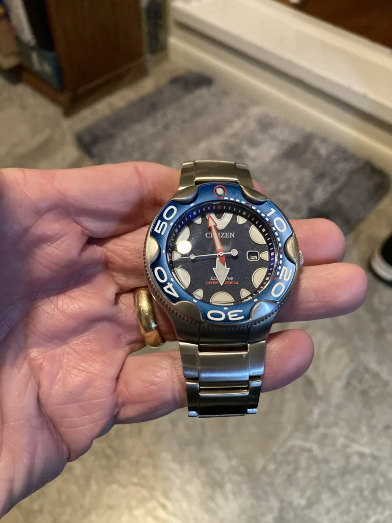 citizen promaster dive